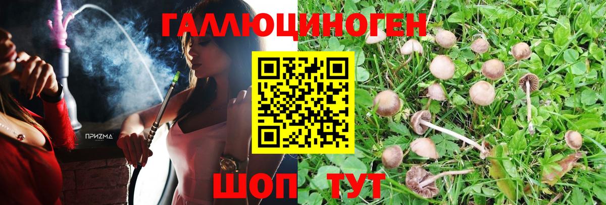 Галлюциногенные грибы GOLDEN TEACHER  Вход с VPN  Ачинск 